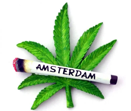 Amsterdam Itinerary!